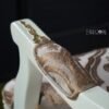 Royal-Classic-Chair-005 Royal Wooden Sofa Chair – Timeless Elegance and Superior Craftsmanship