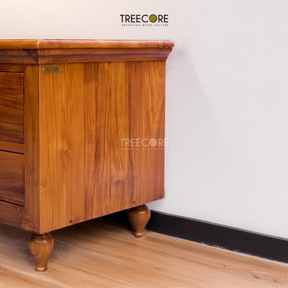 Charming Wooden TV Cabinet with Carved Drawer and Ample Storage